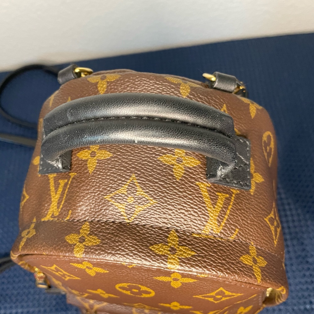Louis Vuitton Palms Springs mini - Picture 7 of 15
